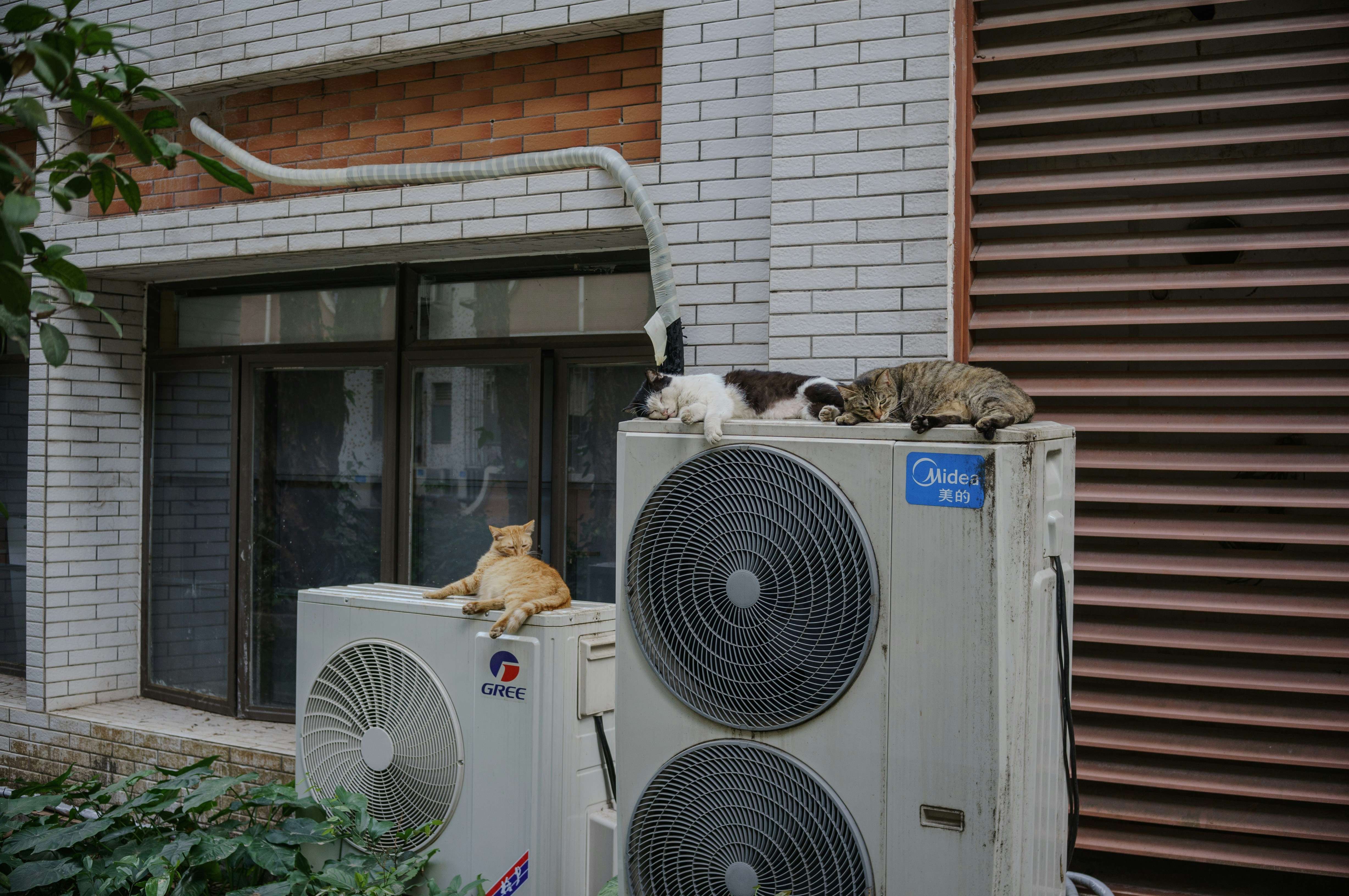 Heat Pump Maintenance